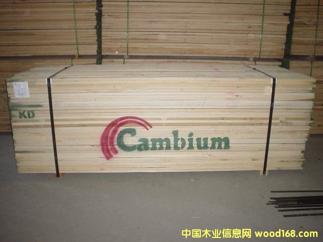 白蠟的詳細(xì)介紹