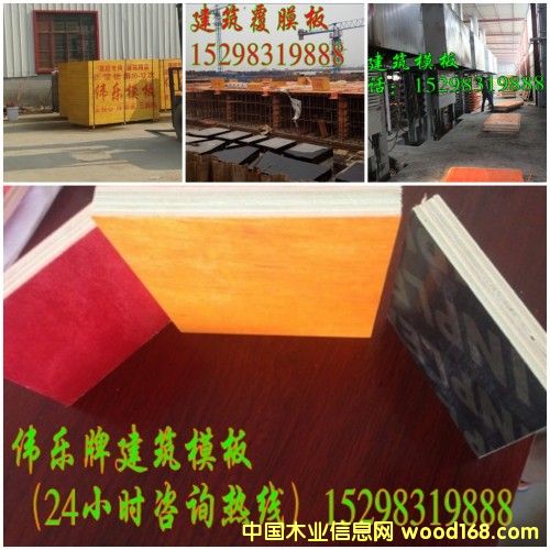 �c���鿴�S��ֱ�N����ģ��Ŵ�DƬ