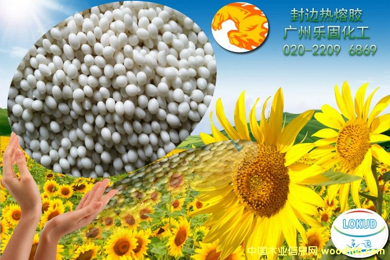 �ܶȰ��߅�����z��Ԕ����B