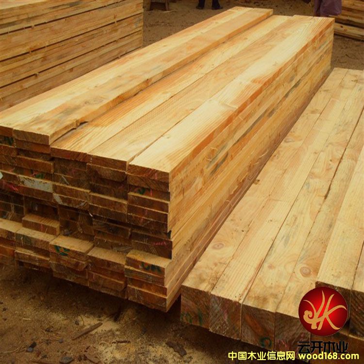 ݗ���ɵ�Ԕ����B