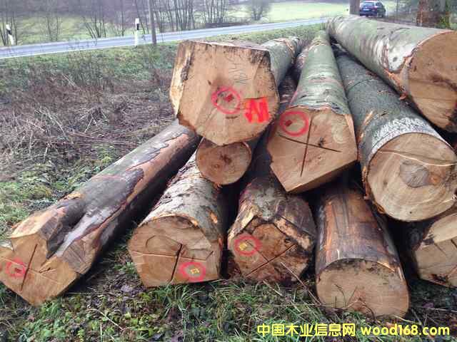 ��䏲ļ���ľԭľ