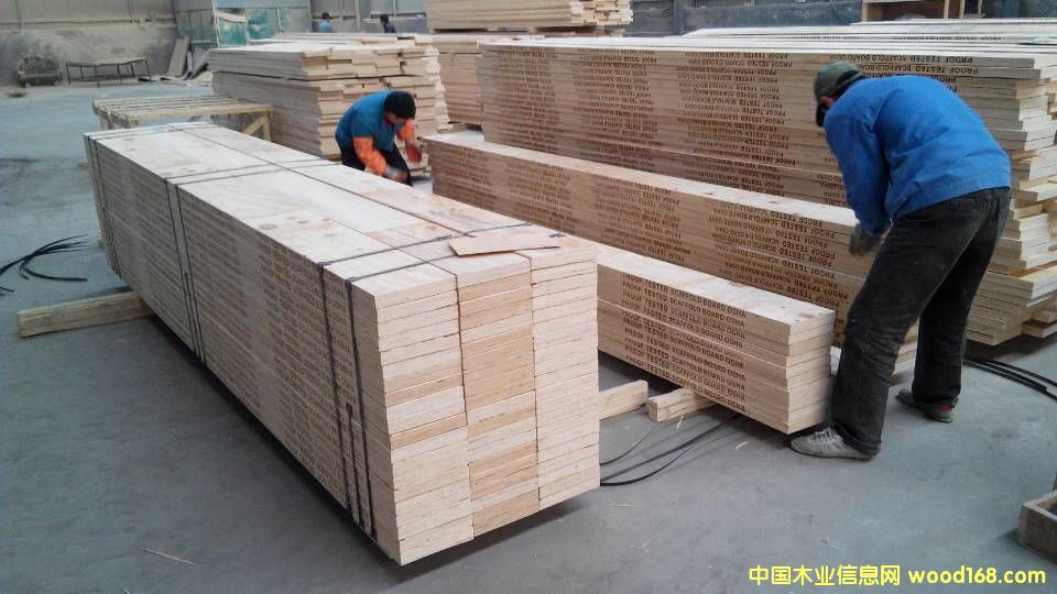 [��] �����Ж| �_�� �Ĵ����� �����؅^(q��) OSHA�J�C ��ľ�_̤�� ��ľ�N�� 