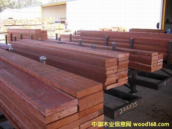 �̓r����ľ��Ԕ����B