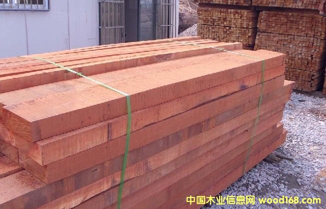 ɽ��ľ����Ƭ���Ԕ����B