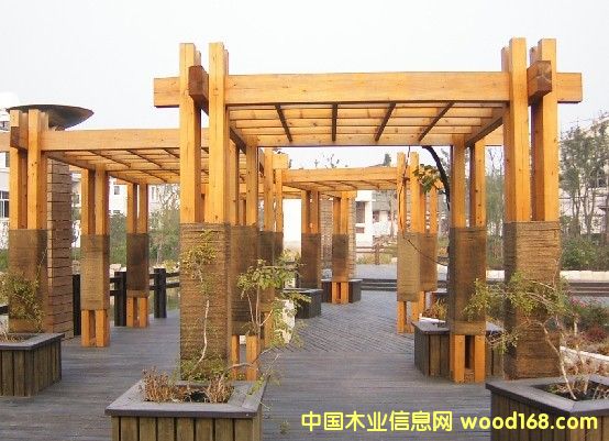 ����(y��ng)�t�������ľ��Ԕ��(x��)��B