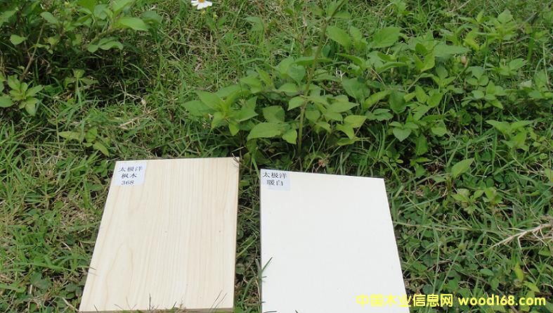 9��Ԕ����B