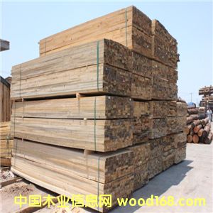 �����ɰ����ľ�� �����ɰ�� �S��ֱ�N ���˴��N��Ԕ����B