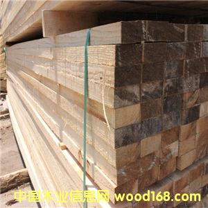 �S�ҹ���ݗ���� �F؛ݗ����ľ�����Ϲ��� �ɶ��Ƶ�Ԕ����B