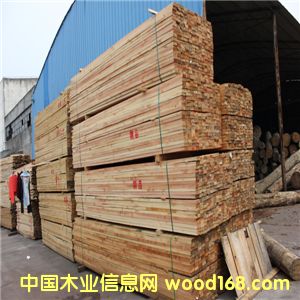 ���l���|�����ɿ��ϡ������ľ���� �����M�ڻ����ɵ�Ԕ����B