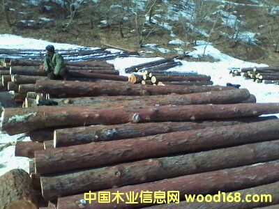 ���~�ɵ�Ԕ����B