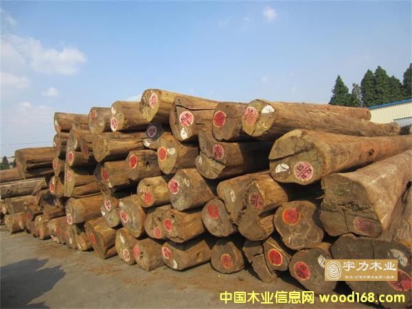 ������ľԭľ