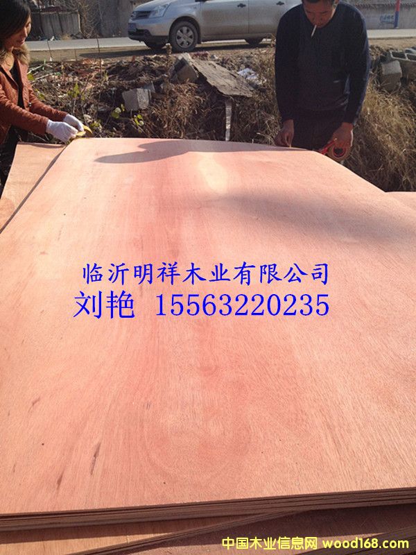 ����9����ǹ�����z�ϰ�