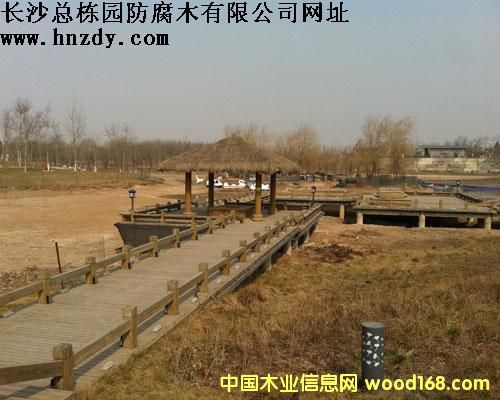 ����ľ������Ԕ����B