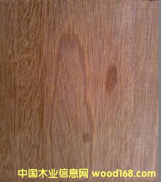 ����կ ��ľ�����}�񣩵�Ԕ��(x��)��B