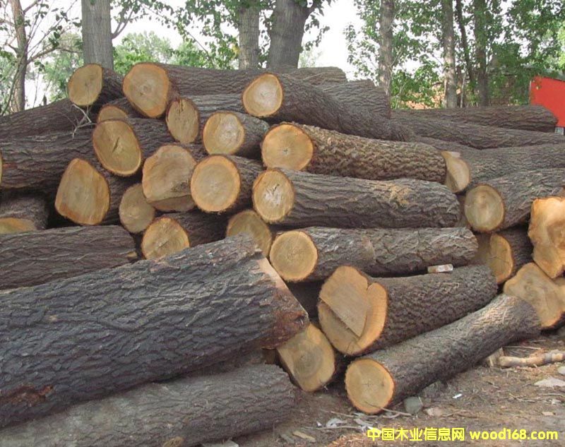 ��ľԭľ��Ԕ����B