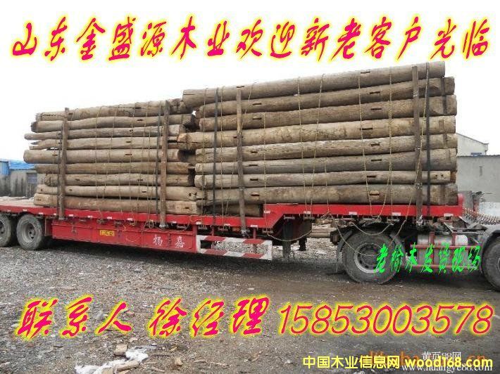 ��ľ����Ԕ����B