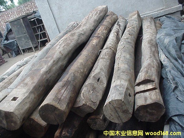 ����ľ��Ԕ����B