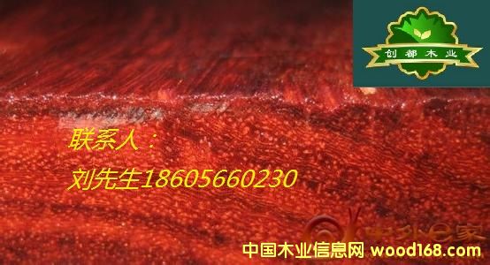 Ѫ̴��Ԕ����B