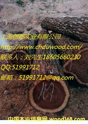 ΢���S̴��ī���磩��Ԕ����B