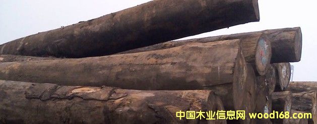 ���� ���޲��}��ԭľ