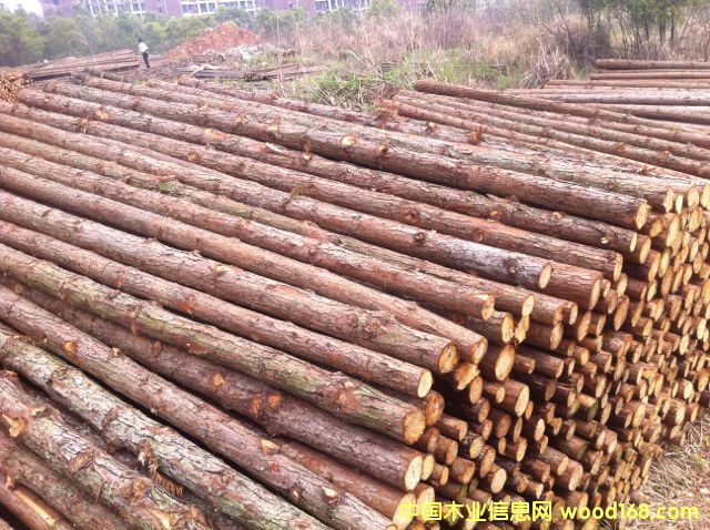 ɼԭľ��Ԕ����B