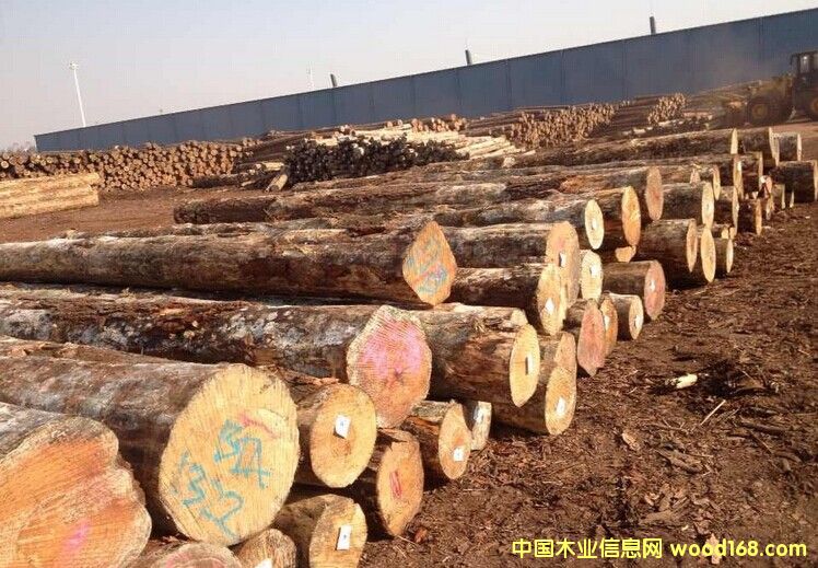 �Ĵ�������ľ/���ɵ�Ԕ����B