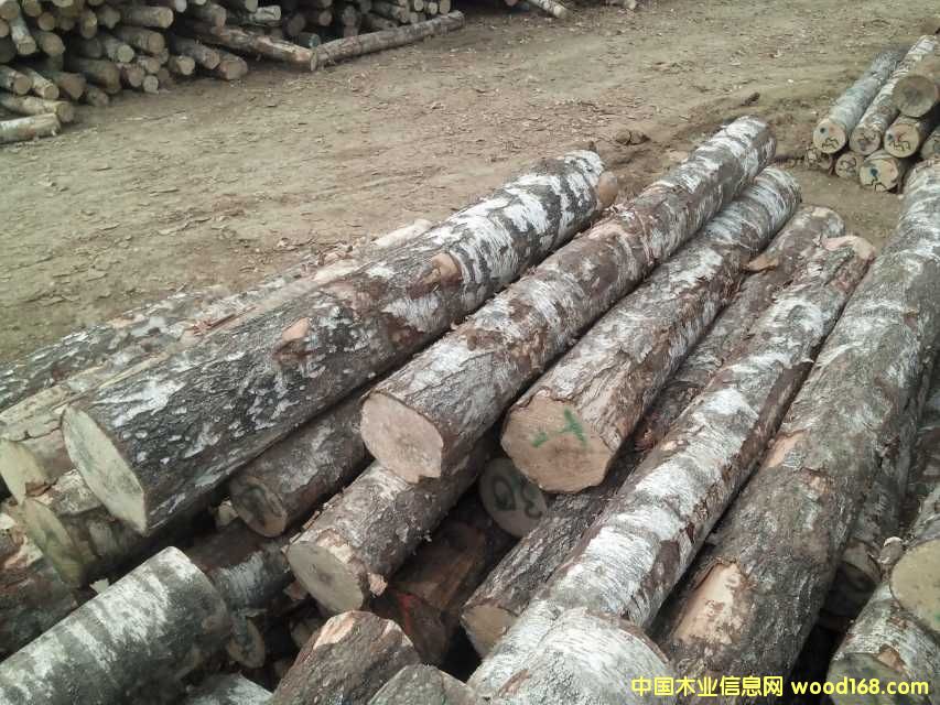 �M�ژ�ľԭľ��Ԕ����B