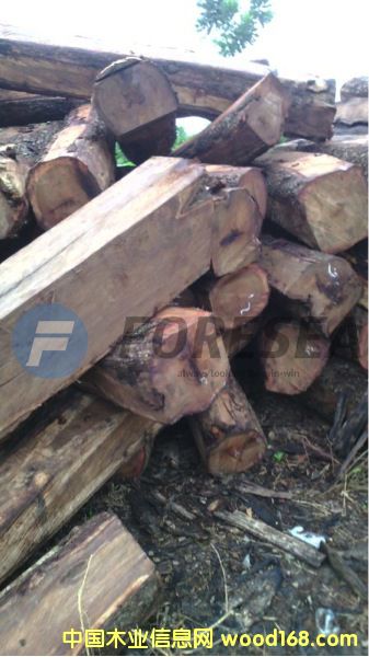 ����������S��������̴��Ԕ����B