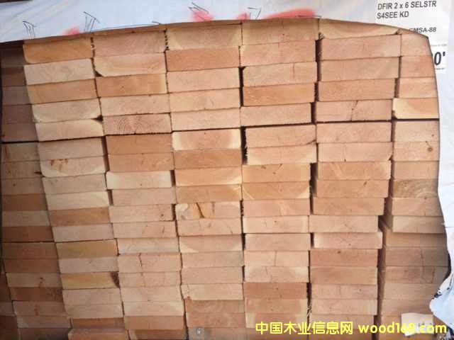 �����ɰ�ĵ�Ԕ����B