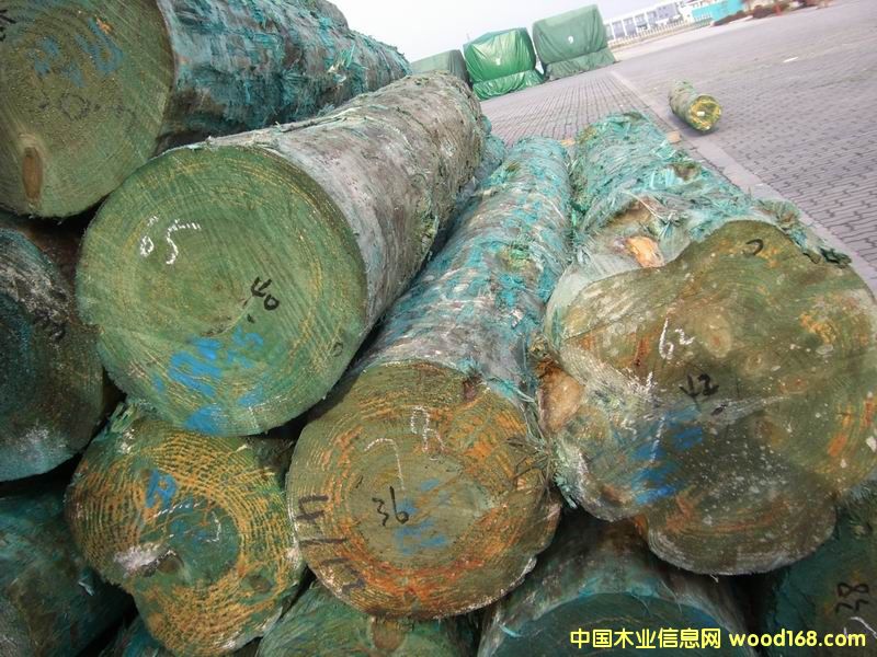 �����mݗ���ɵ�Ԕ����B