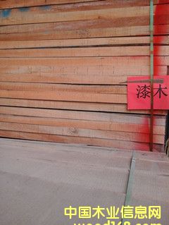 ��ľ��Ԕ����B