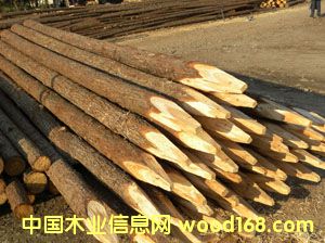 ɼľ�������阶���ӵ���