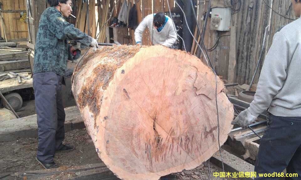 �c���鿴�S���ľ�Ŵ�DƬ