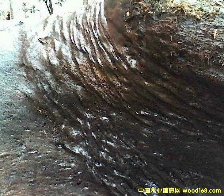 �c���鿴��z骞�ľ�Ŵ�DƬ