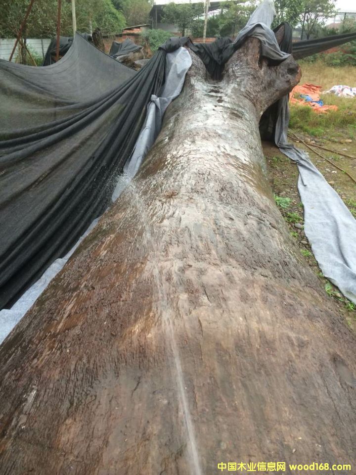 �c���鿴��z骞�ľ�Ŵ�DƬ