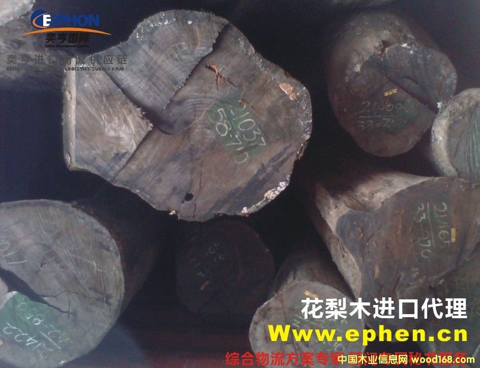 �M�ھ����u��ľ,�����u��ľ���P,�Ϻ������u��ľ���P