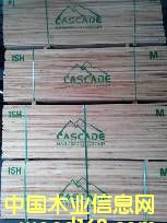 �c(di��n)���鿴̫ƽ���ľ�Ŵ�DƬ