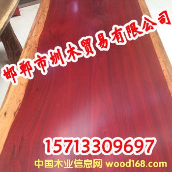 �c���鿴����ľ�Ŵ�DƬ