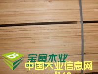 ݗ�����ٹ��