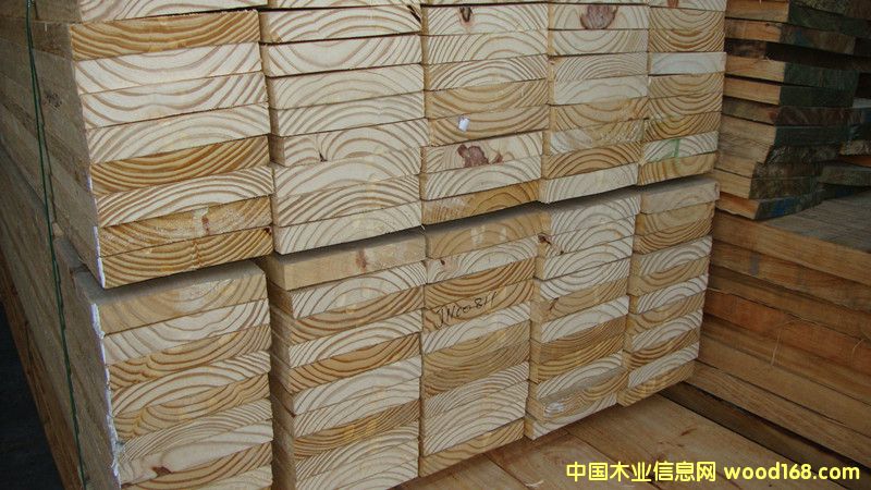 ����͢��1