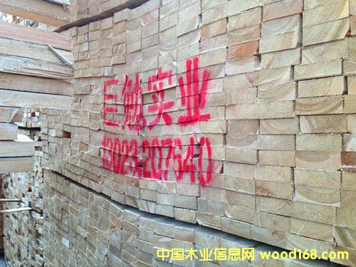 ���~�ɿ������l