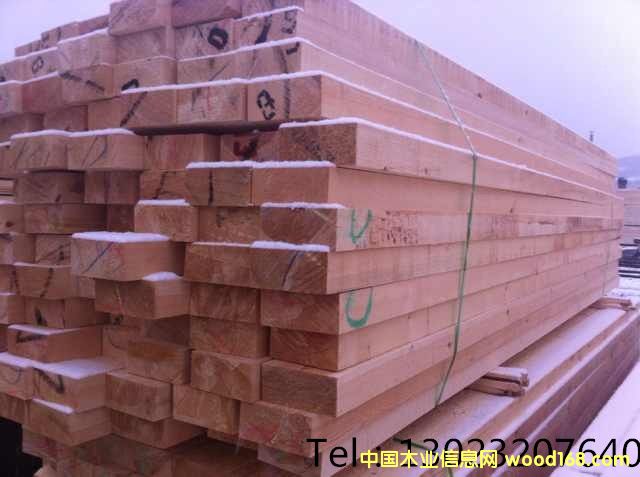 ������ľ��