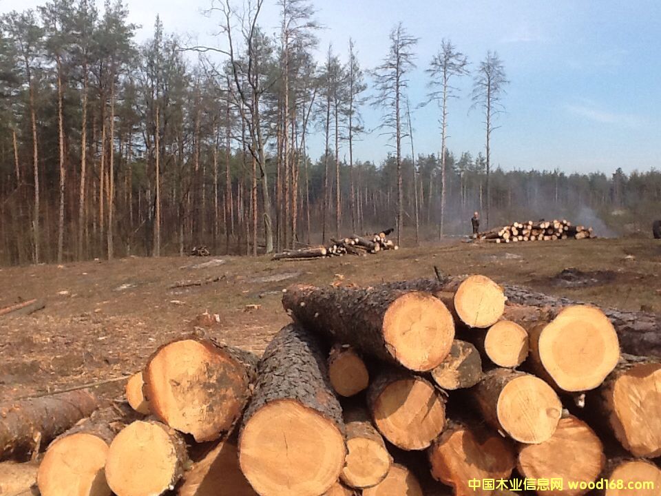 �����m��ɼ�������ɡ���ľԭľ�����