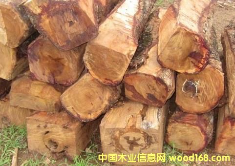 ���޴����̴