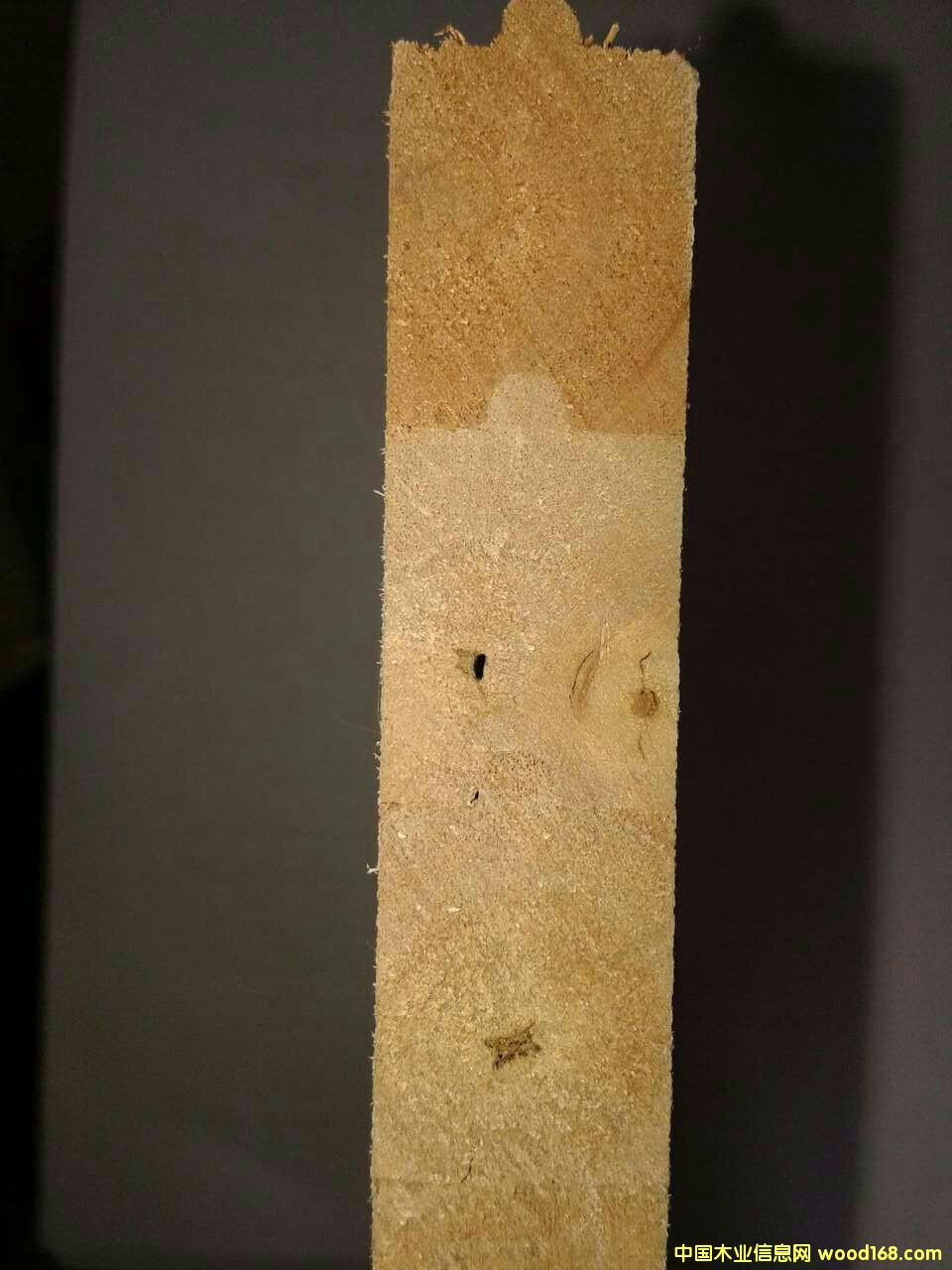 ����ԭľָ�Ӱ����