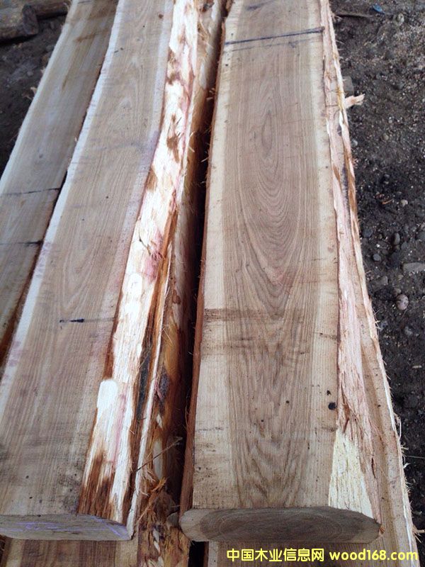 ���_˹�M����ľ䏲�