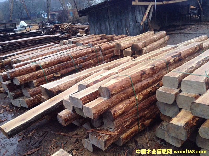 ��ľ��䏲�