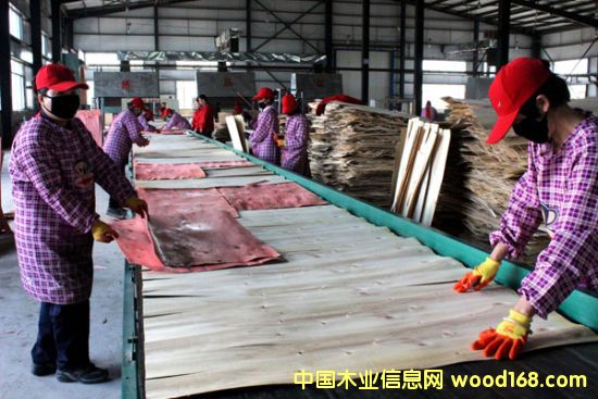 �����������P��ľ�I����Ͷ�a