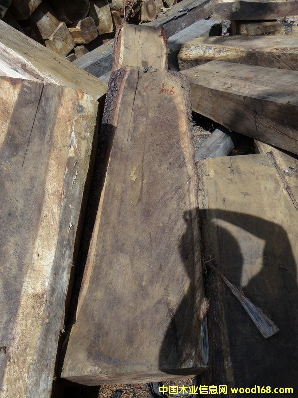 ����˼��1