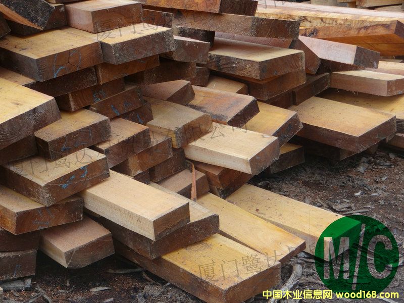 [��] ���������e�һ�о